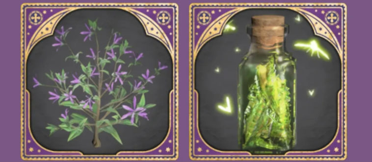 Which special little ingredient is absolutely needed to brew a bubbly Polyjuice Potion?